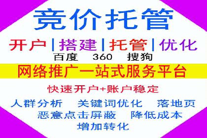 案例研究：关键词竞价排名效果评估